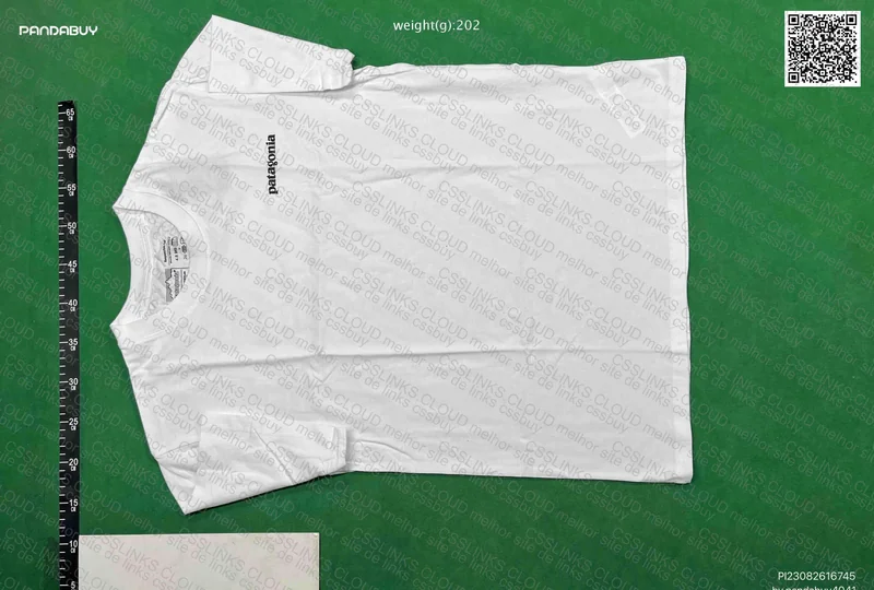 Patagônia T-Shirt 2