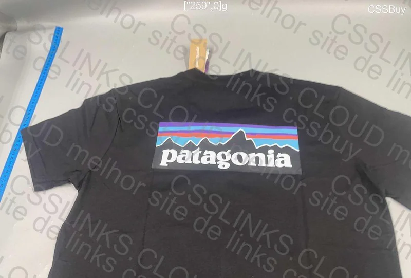Patagonia T-Shirt