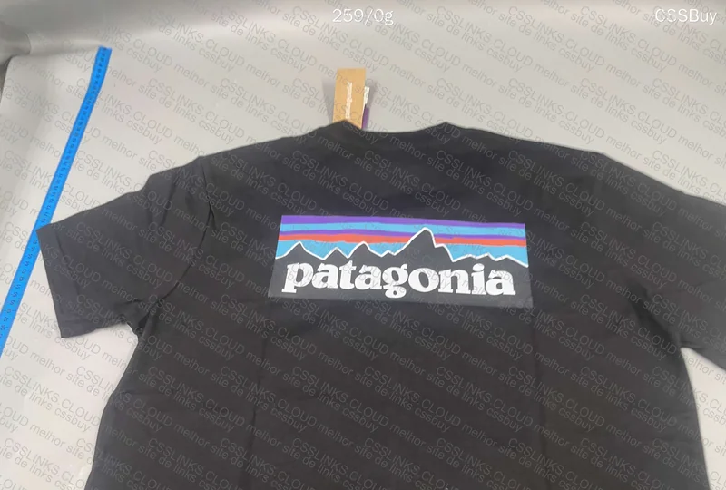 Patagonia T-Shirt 5