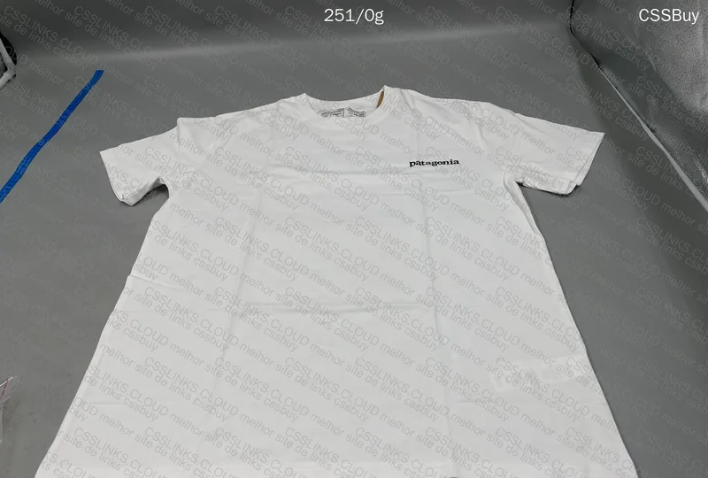 Patagonia T-Shirt