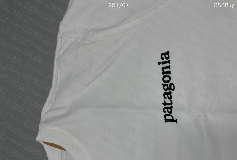 Patagonia T-Shirt 2