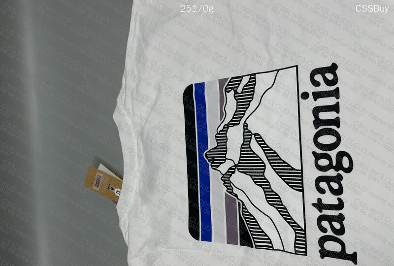 Patagonia T-Shirt 4
