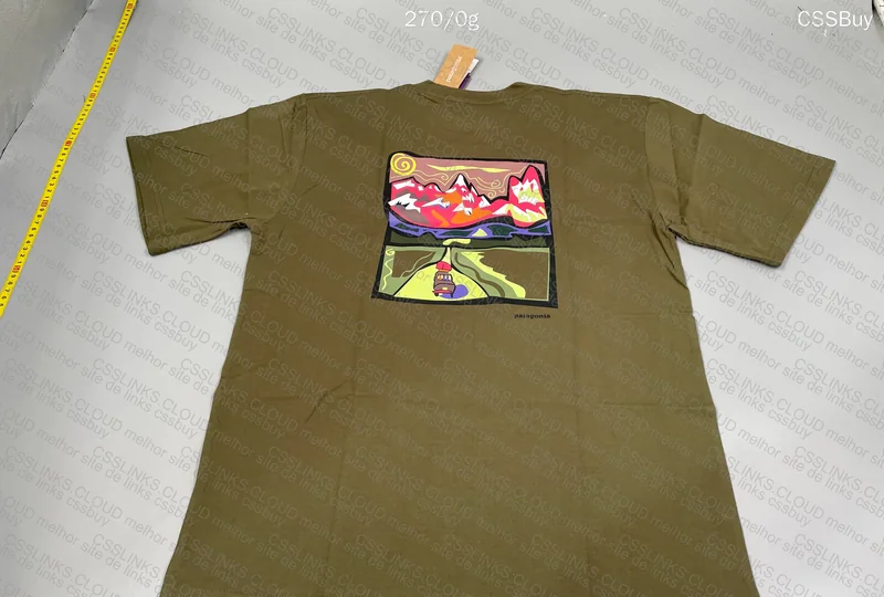 Patagonia T-Shirt 2