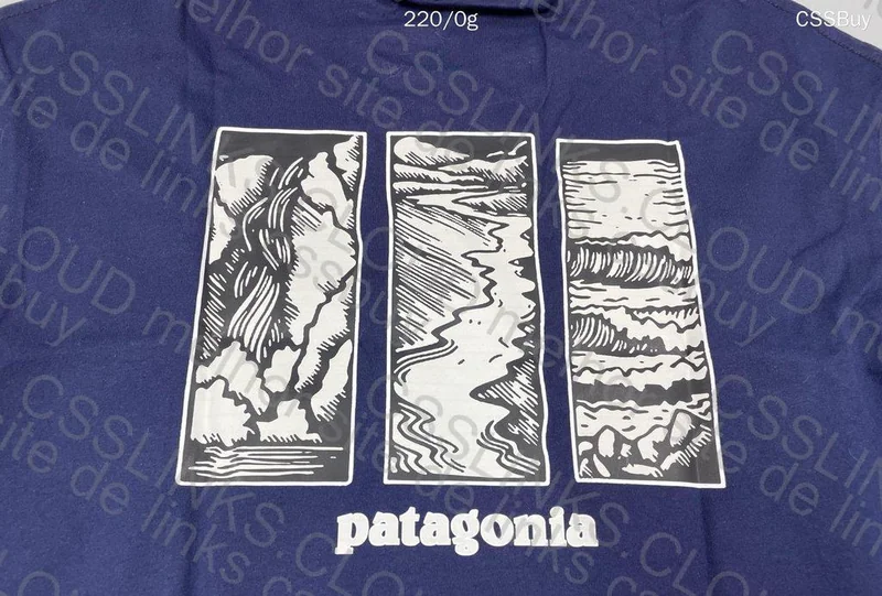 Patagonia T-Shirt