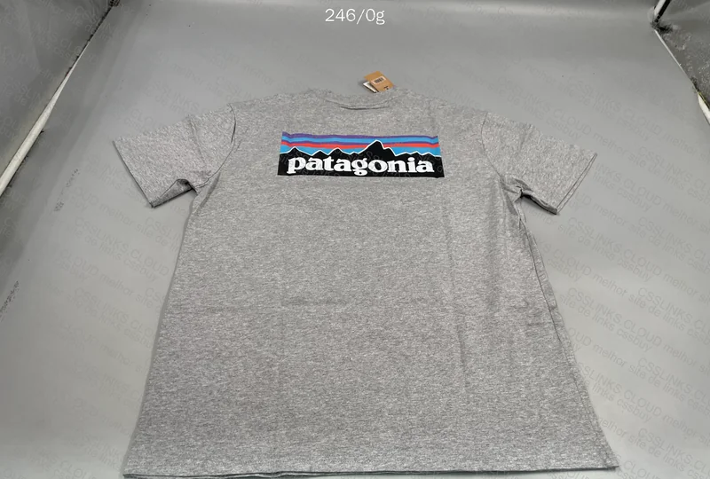Patagonia T-Shirt