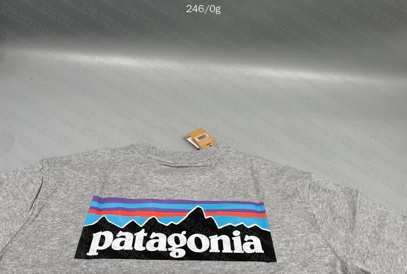 Patagonia T-Shirt 2