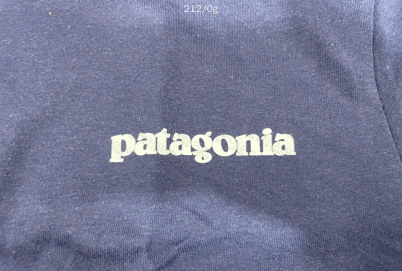 Patagonia T-Shirt 2