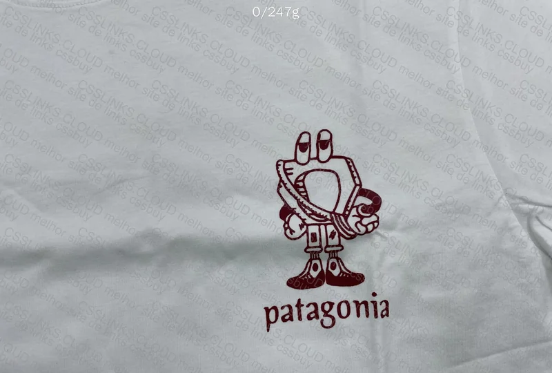 Patagonia T-Shirt 2