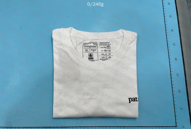 Patagonia T-Shirt
