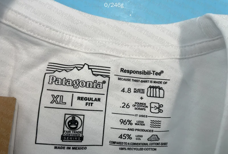 Patagonia T-Shirt 2