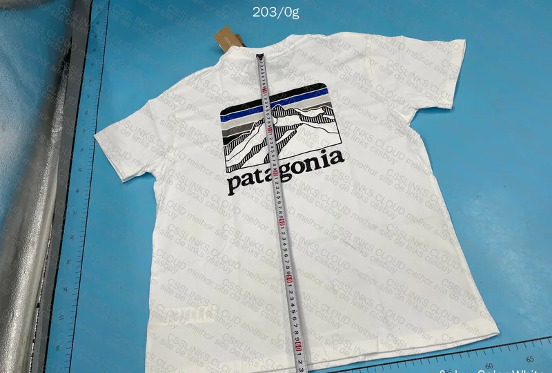Patagonia T-Shirt
