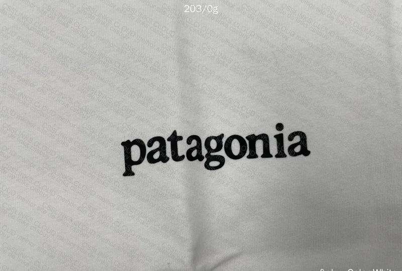 Patagonia T-Shirt 10