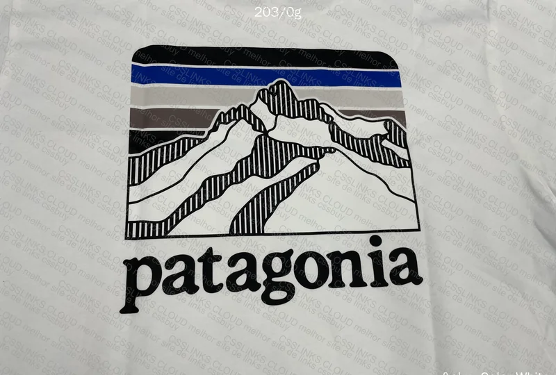 Patagonia T-Shirt 2