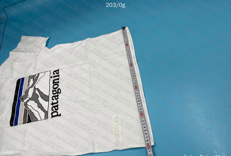 Patagonia T-Shirt 6