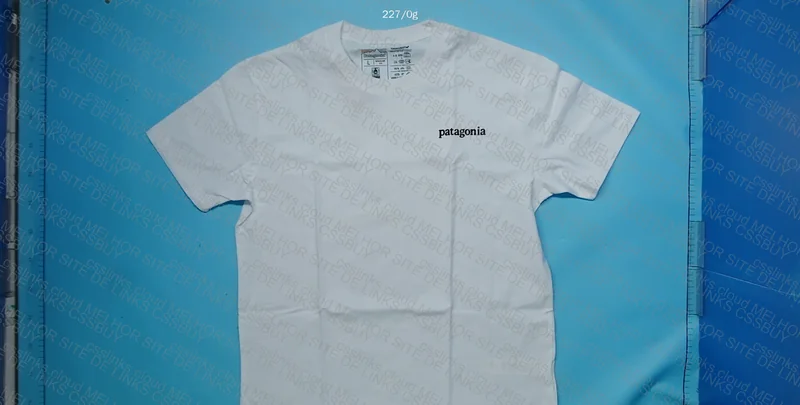 Patagonia T-Shirt 2
