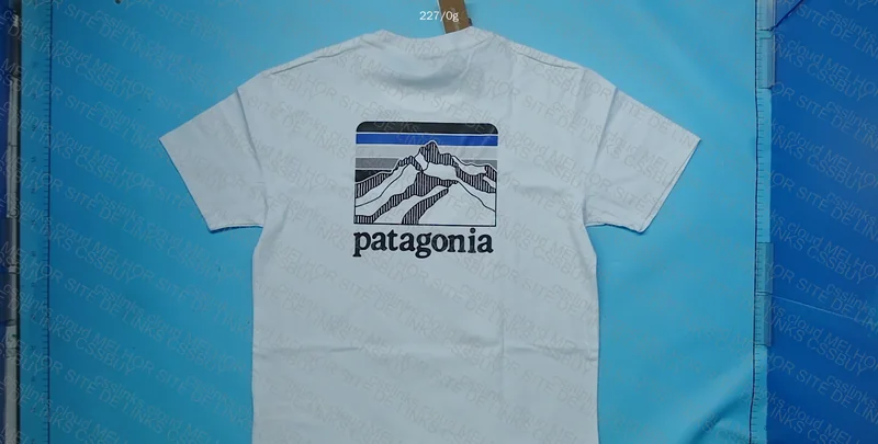 Patagonia T-Shirt 3