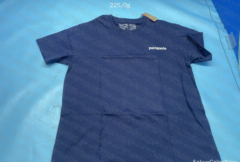 Patagonia T-Shirt 2