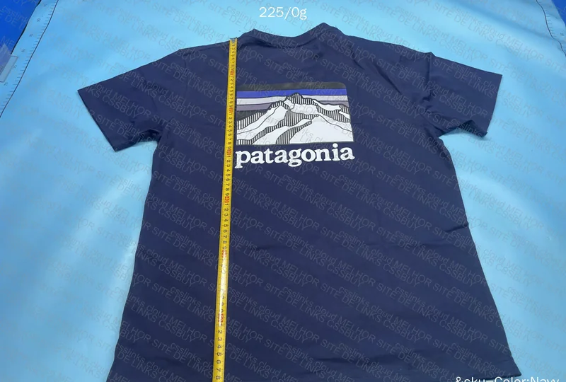 Patagonia T-Shirt 5