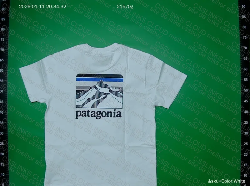 camiseta patagonia