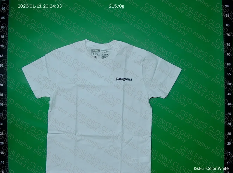 camiseta patagonia 2