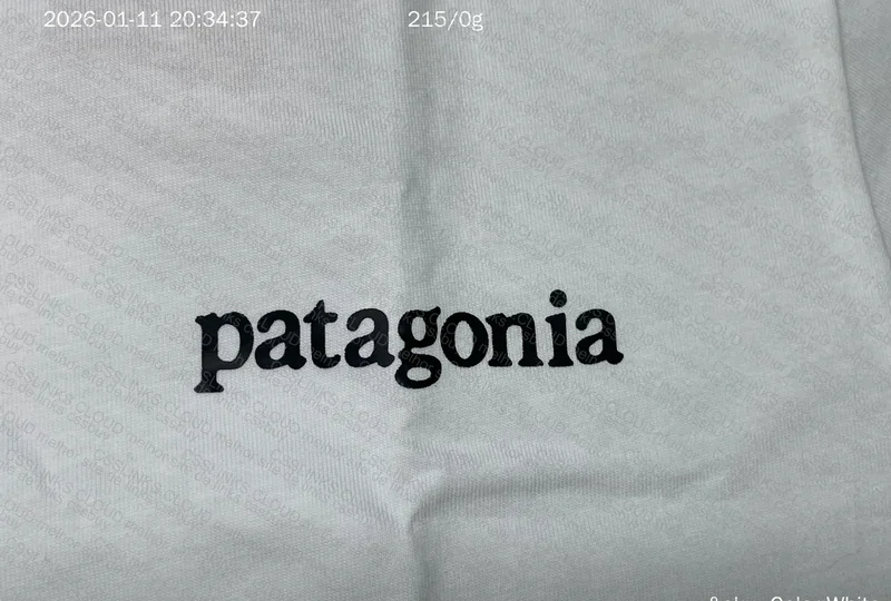 camiseta patagonia 3