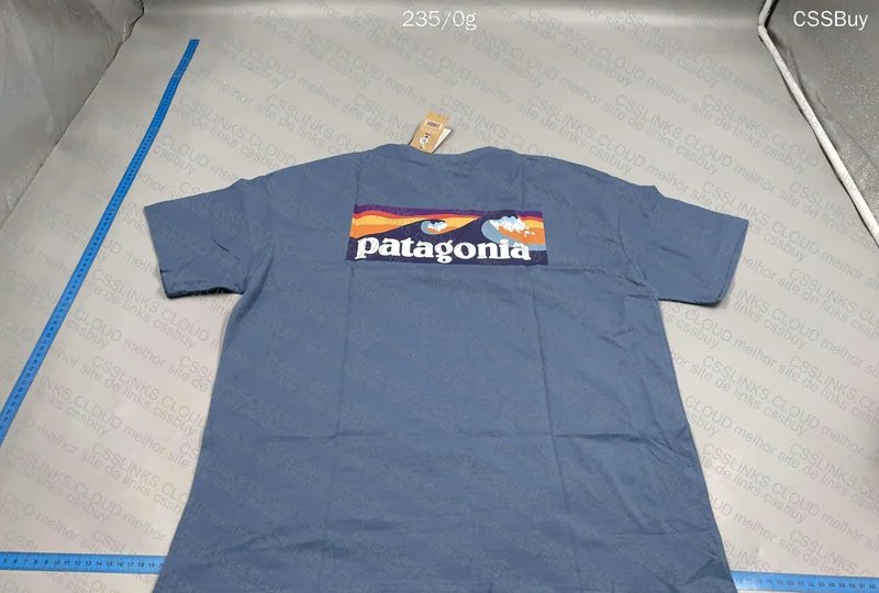 Patagonia Blue T-Shirt
