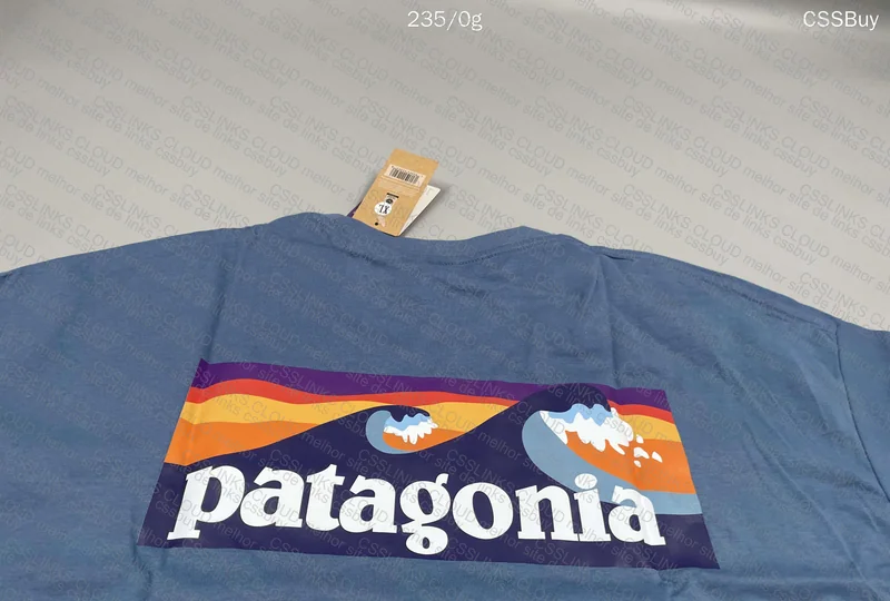 Patagonia Blue T-Shirt 2