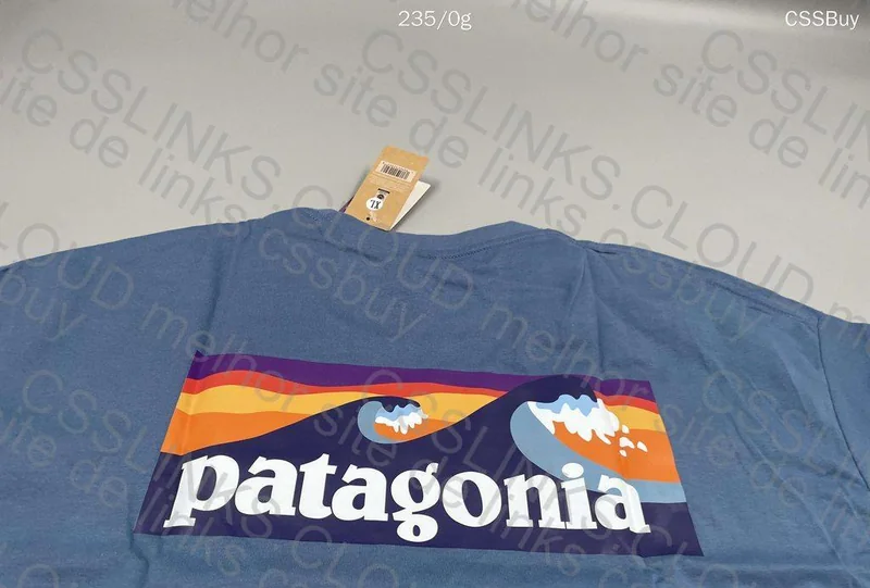 Patagonia Blue T-Shirt 3