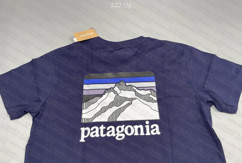 Patagonia T-Shirt, GL? 2