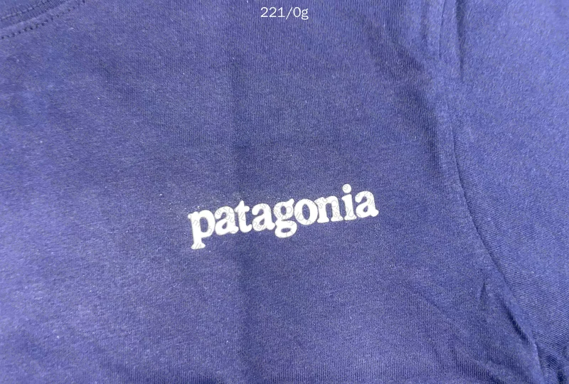 Patagonia T-Shirt, GL?? 4