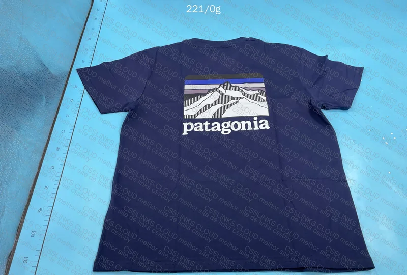 Patagonia T-Shirt, GL?? 6
