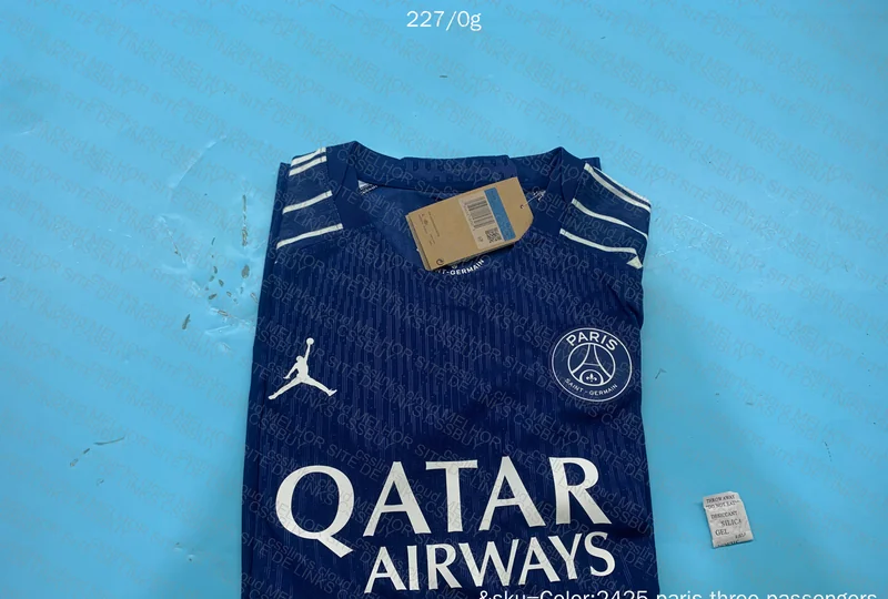PSG IV 24/25 T-shirt 2