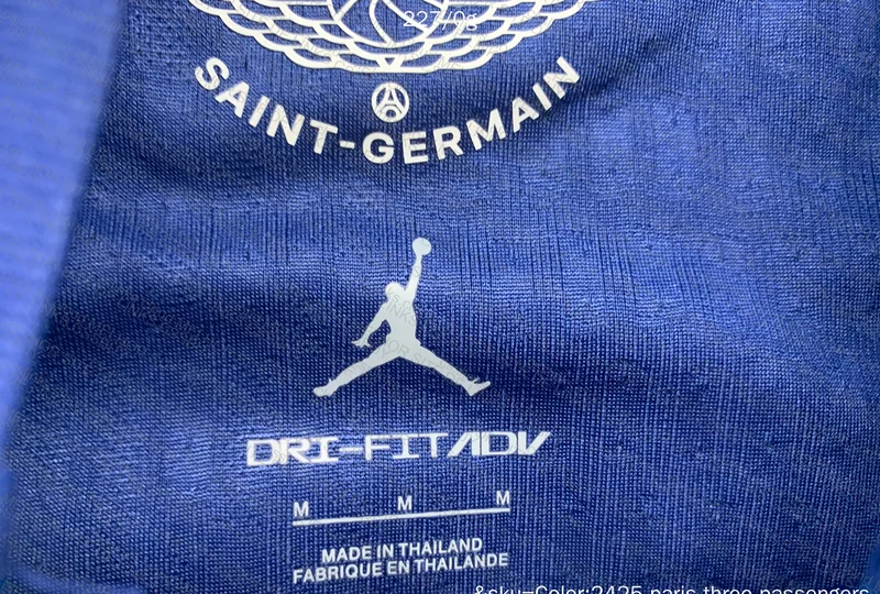 PSG IV 24/25 T-shirt 7