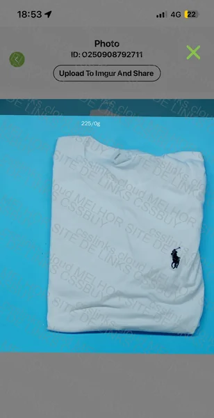Ralph Lauren T-shirt
