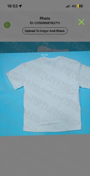 Ralph Lauren T-shirt 2