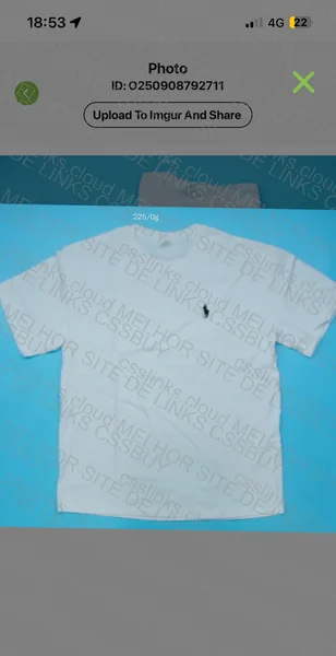Ralph Lauren T-shirt 3