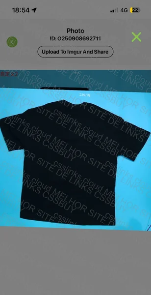Ralph Lauren T-shirt 6