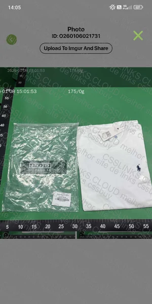 Ralph Lauren T-shirt 2