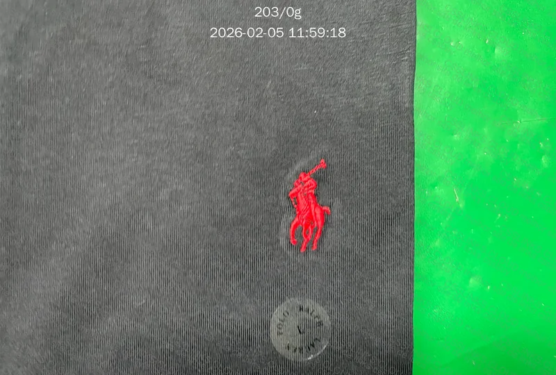 Camiseta Ralph Lauren - GL?