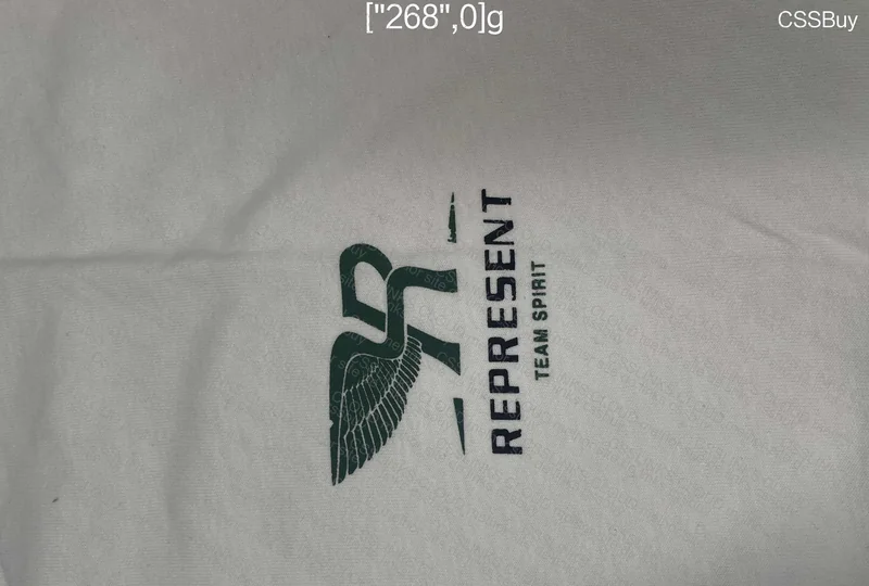 Represent Oversized T-Shirt 3