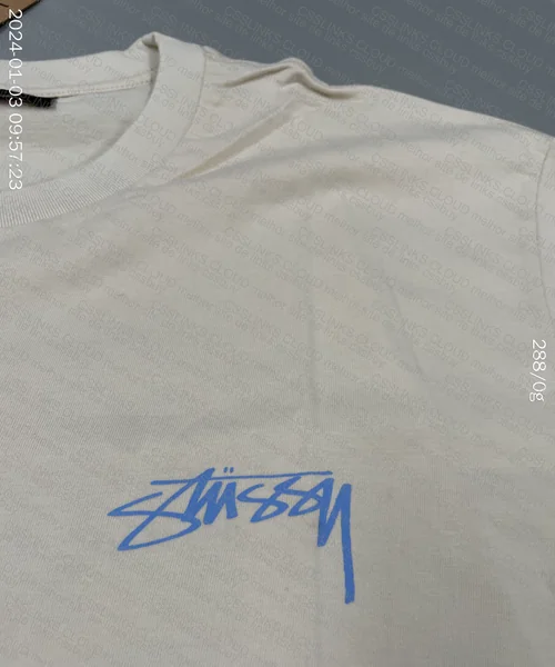 Stussy T-Shirt 3