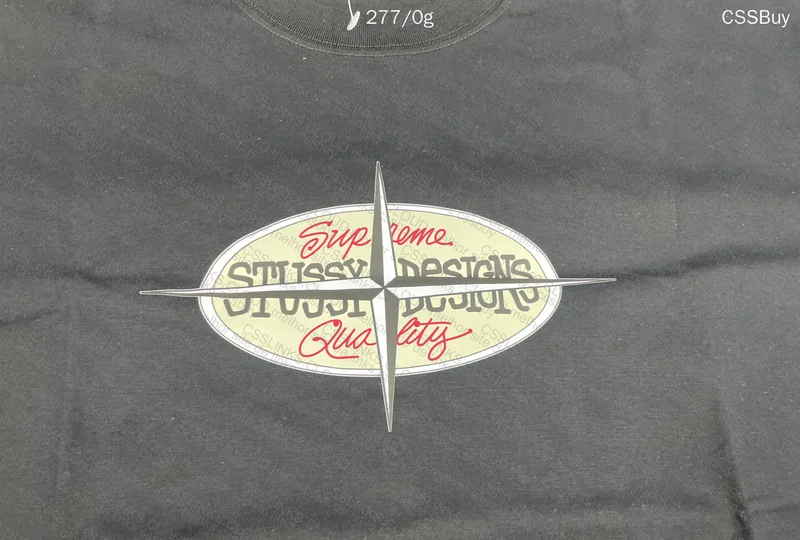 Stussy T-shirt 2