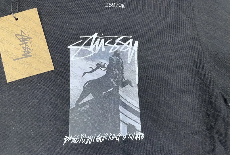 Stussy T-Shirt 3
