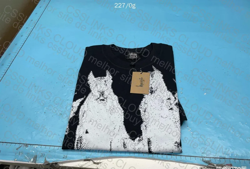Stussy T-Shirt 2