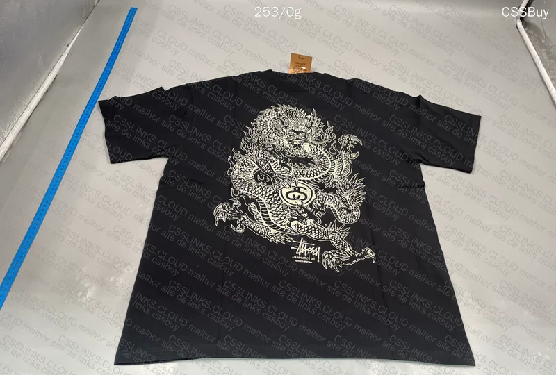 Stussy T-Shirt, EE Shorts, Mini Swoosh Hoodie 5