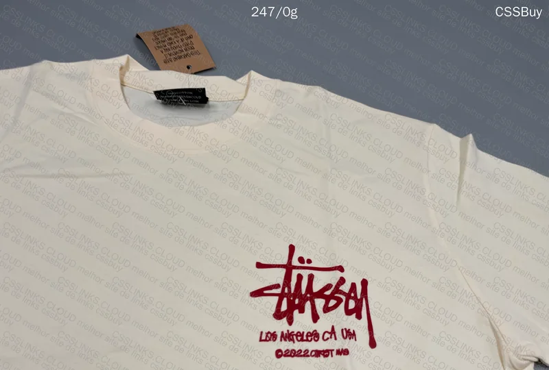 Stussy T-Shirt, EE Shorts, Mini Swoosh Hoodie 8