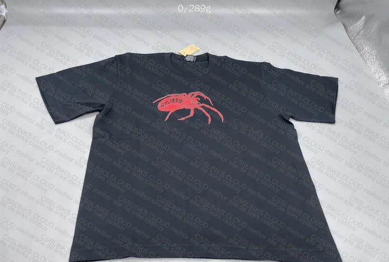 Stussy T-Shirt (Help)