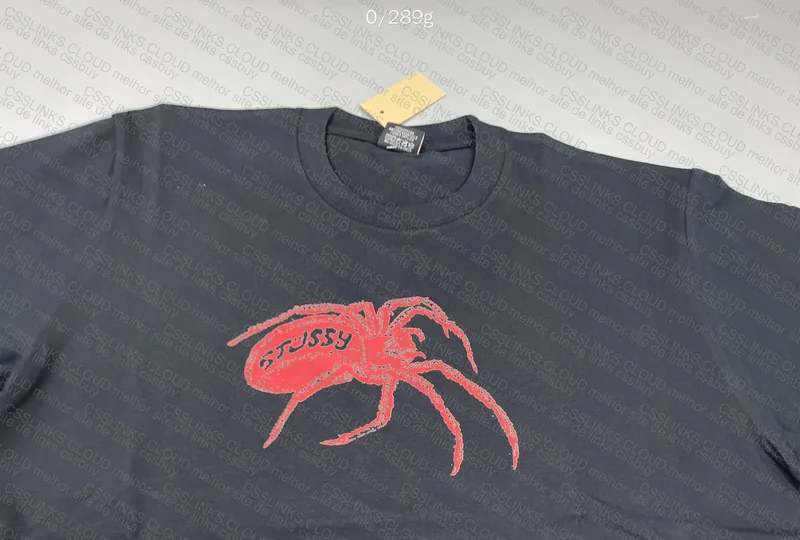 Stussy T-Shirt (Help) 2
