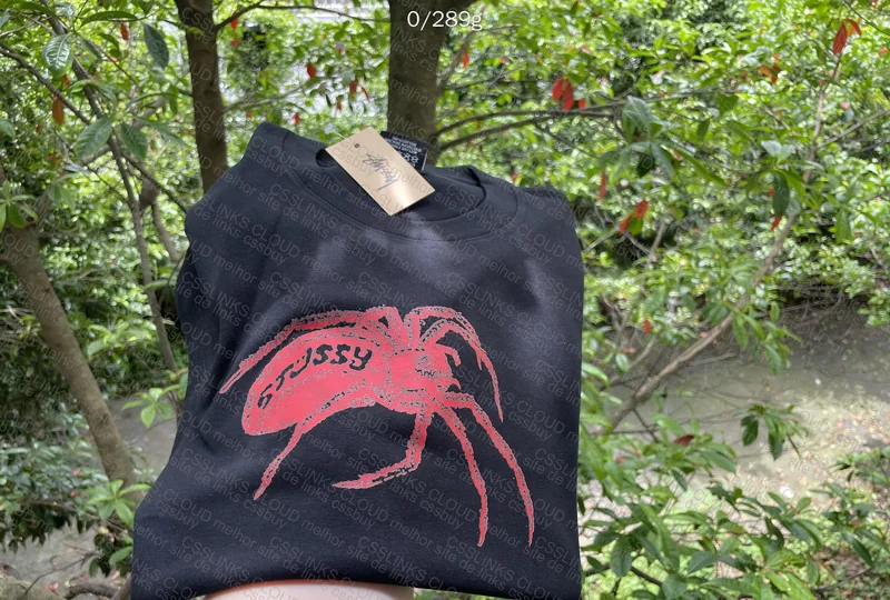 Stussy T-Shirt (Help) 3