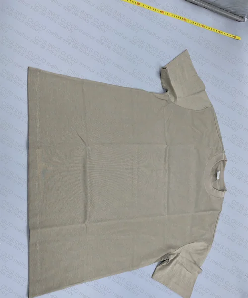 Heavy Fabric 305g Gray Camel T-shirt 3